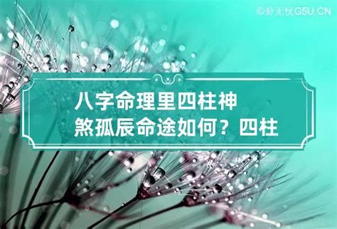 孤神意思|命理中的孤辰和寡宿是什么意思